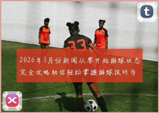 2026年3月份新闻从零开始排球状态完全攻略助你轻松掌握排球技巧与战术提升游戏体验